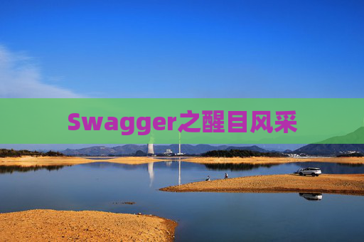 Swagger之醒目风采